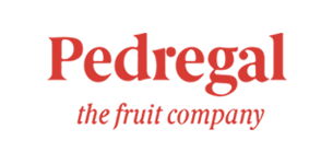 Pedregal